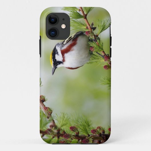 Bird grey_iphone Case-Mate iPhone hülle (Rückseite)