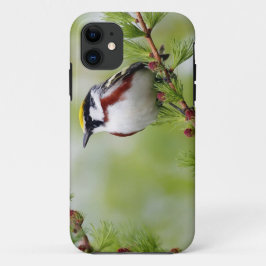 Bird grey_iphone Case-Mate iPhone hülle