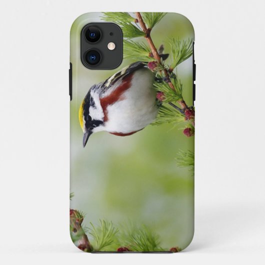 Bird grey_iphone Case-Mate iPhone hülle (Rückseite)