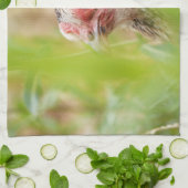 Bird Handtuch (Gefaltet)