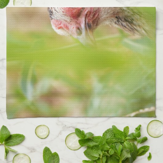 Bird Handtuch (Gefaltet)