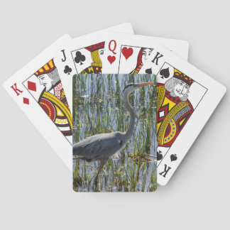 Bird Heron Closeup Marsh Fotograf Spielkarten
