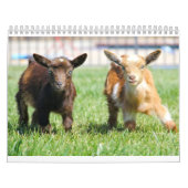 Bird House & Barn Kalender (Titelbild)