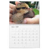 Bird House & Barn Kalender (Mär 2027)