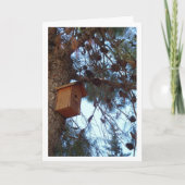Bird House in Pine Tree Portrait Karte (Vorderseite)