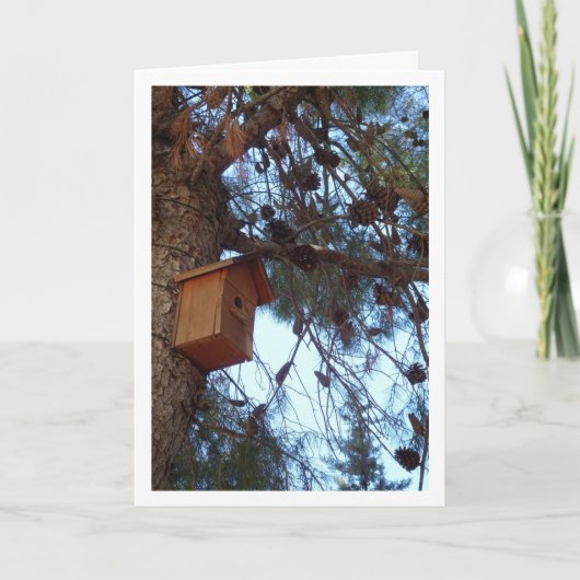 Bird House in Pine Tree Portrait Karte (Vorderseite)