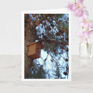 Bird House in Pine Tree Portrait Karte