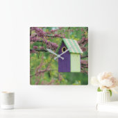 Bird House On A Redbud Tree Quadratische Wanduhr (Zuhause)