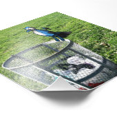 Bird Hybrid auf Trash kann Foto drucken (Ecke)