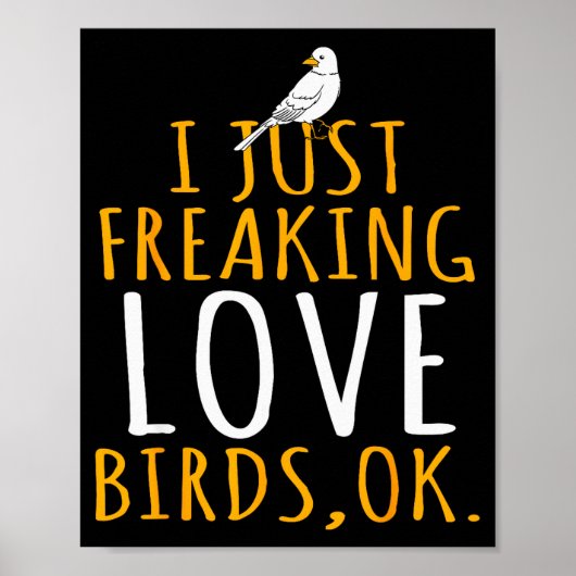 Bird - I Just Freaking Love Birds Ok Poster (Vorne)