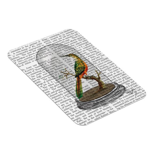 Bird in Bell Jar Magnet (Rechte Seite)