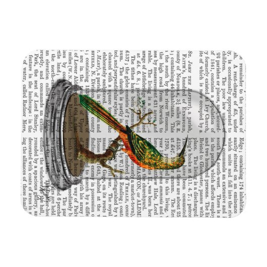 Bird in Bell Jar Magnet (Horizontal)