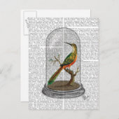 Bird in Bell Jar Postkarte (Vorne/Hinten)
