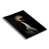 BIRD IN BRASILIEN NOTIZBLOCK (Rechte Seite)