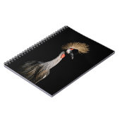BIRD IN BRASILIEN NOTIZBLOCK (Linke Seite)