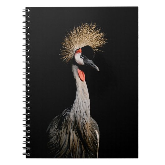 BIRD IN BRASILIEN NOTIZBLOCK (Vorderseite)