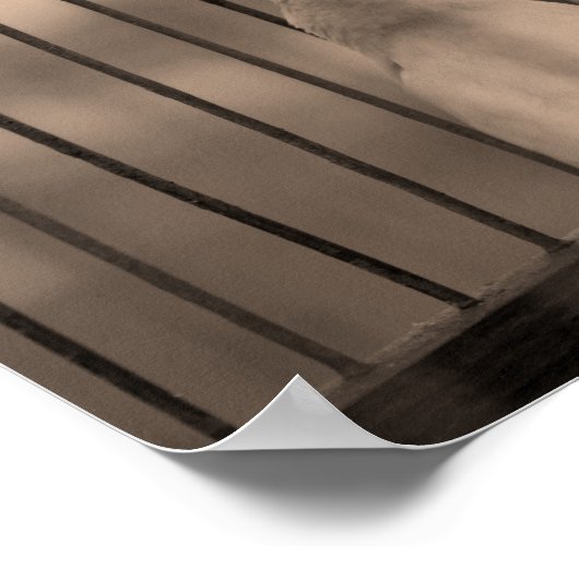 Bird in Cage Poster (Ecke)