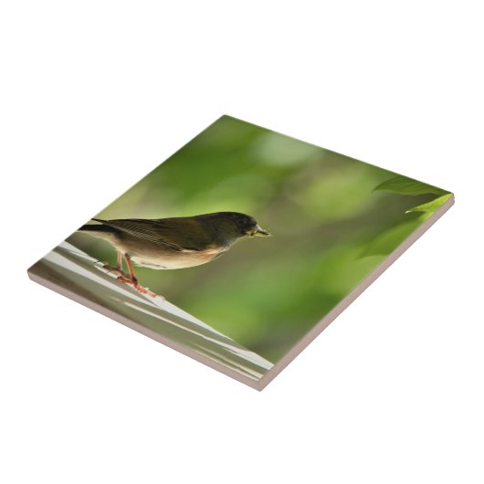 Bird in green leaves background fliese (Seite)