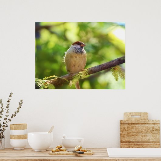 Bird in Jade Poster (Küche)