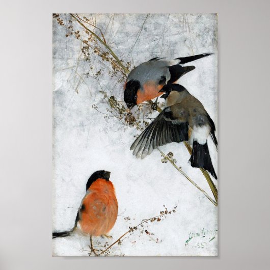 Bird in Snow, Bruno Liljefors Poster (Vorne)