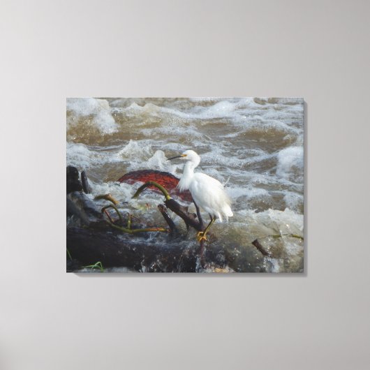 BIRD IN THE WILD #1 AUF LEINWAND 20 "x 16" (Vorderseite)