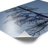 Bird in Tree Silhouette Print Fotodruck (Ecke)