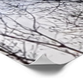 Bird in Winter Tree Foto Family Tree Poster (Ecke)