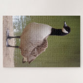 Bird Jigsaw Puzzle (Horizontal)