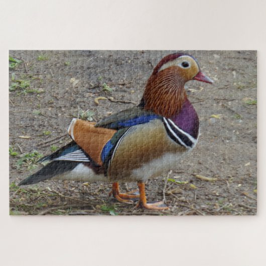 Bird Jigsaw Puzzle (Horizontal)