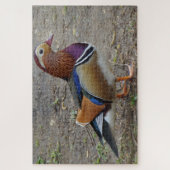 Bird Jigsaw Puzzle (Vertikal)