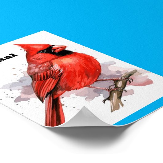 Bird Kardinal Poster (Ecke)