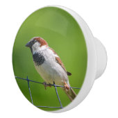 Bird Keramik Knob Keramikknauf (Rechts)