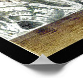 Bird Life Poster ~ Cliff Habitat (Ecke)