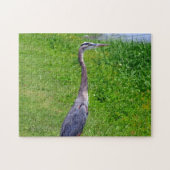 Bird Lookout Puzzle (Horizontal)