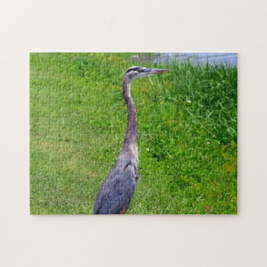 Bird Lookout Puzzle (Horizontal)