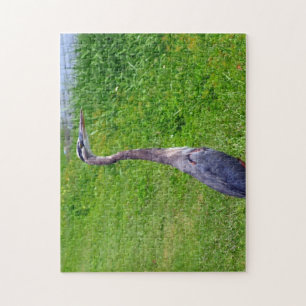 Bird Lookout Puzzle
