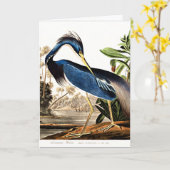 Bird - Louisiana Heron von John James Audubon Karte (Gelbe Blume)