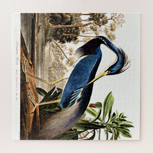 Bird - Louisiana Heron von John James Audubon Puzzle (Horizontal)