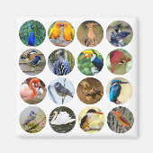 Bird Lover Kühlschrank Magnet (Vorne)