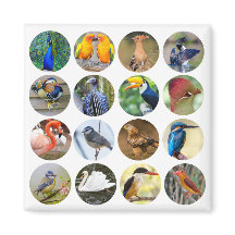 Bird Lover Kühlschrank Magnet