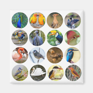 Bird Lover Kühlschrank Magnet