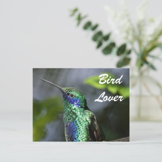 Bird Lover Postkarte (Stehend Vorderseite)