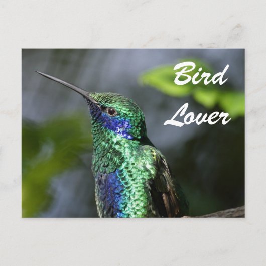 Bird Lover Postkarte (Vorderseite)
