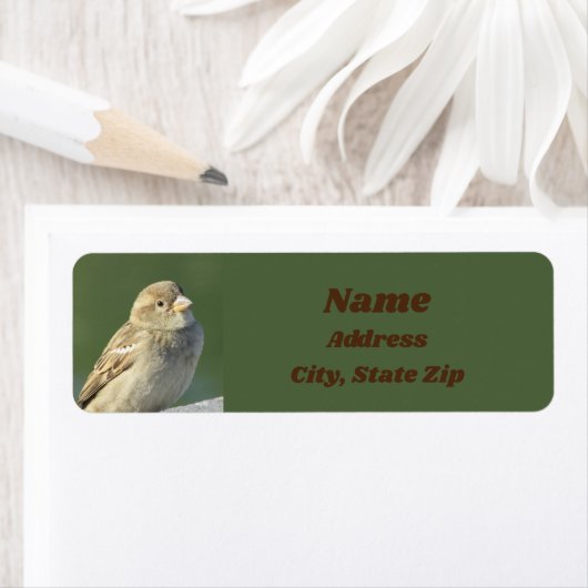 Bird Lover Small Brown Feather Wild Sparrow (Insitu)