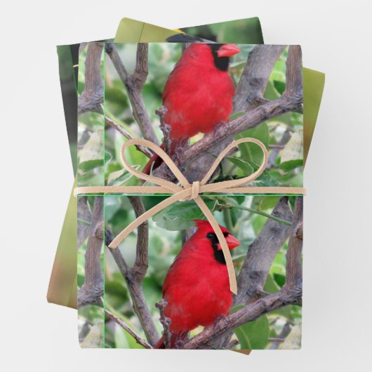 Bird Lover's - 3 Design - Jeden Anlaß Geschenkpapier Set (Beispiel)