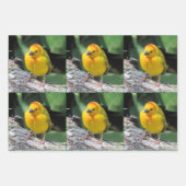 Bird Lover's - 3 Design - Jeden Anlaß Geschenkpapier Set (Vorderseite 3)