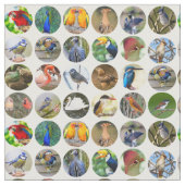 Bird Lovers Fabric Stoff (Nahaufnahme)