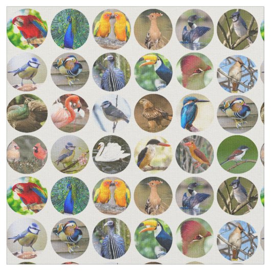 Bird Lovers Fabric Stoff (Nahaufnahme)