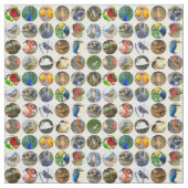 Bird Lovers Fabric Stoff (Muster)