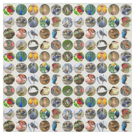 Bird Lovers Fabric Stoff (Muster)